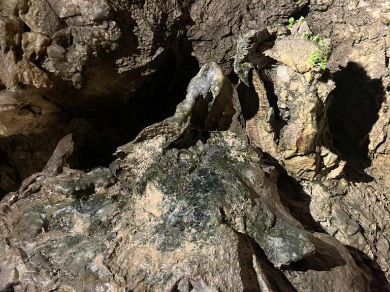 2025-09-12_mittelstufe_kristallhoehle_kobelwald_019